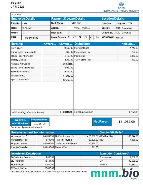 Tata Consultancy Services payslip template w formatach Word i PDF